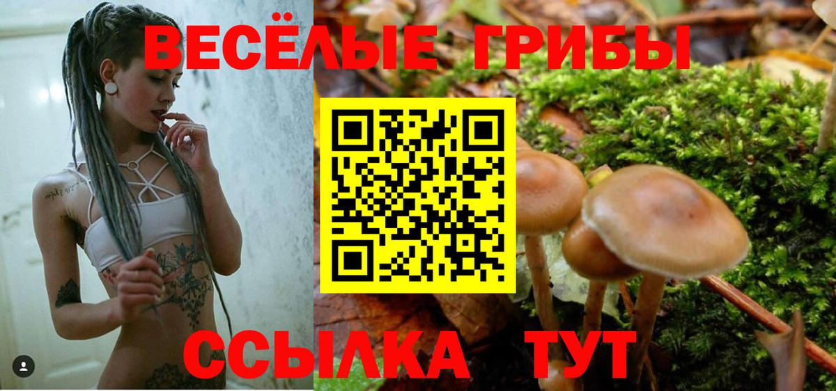 Псилоцибиновые грибы прущие грибы Унеча
