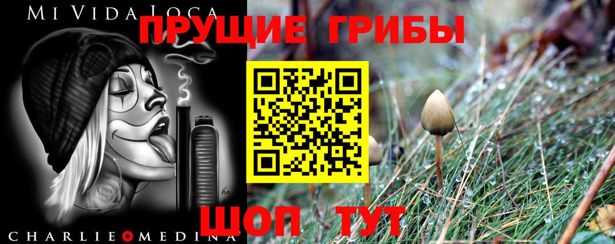 Унеча  Псилоцибиновые грибы MAGIC MUSHROOMS  Вход с VPN 